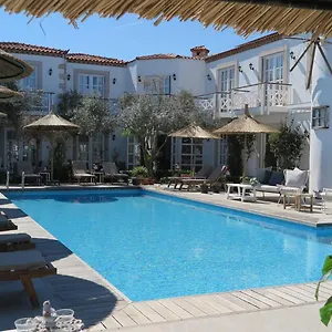 Bay C ** Alaçatı